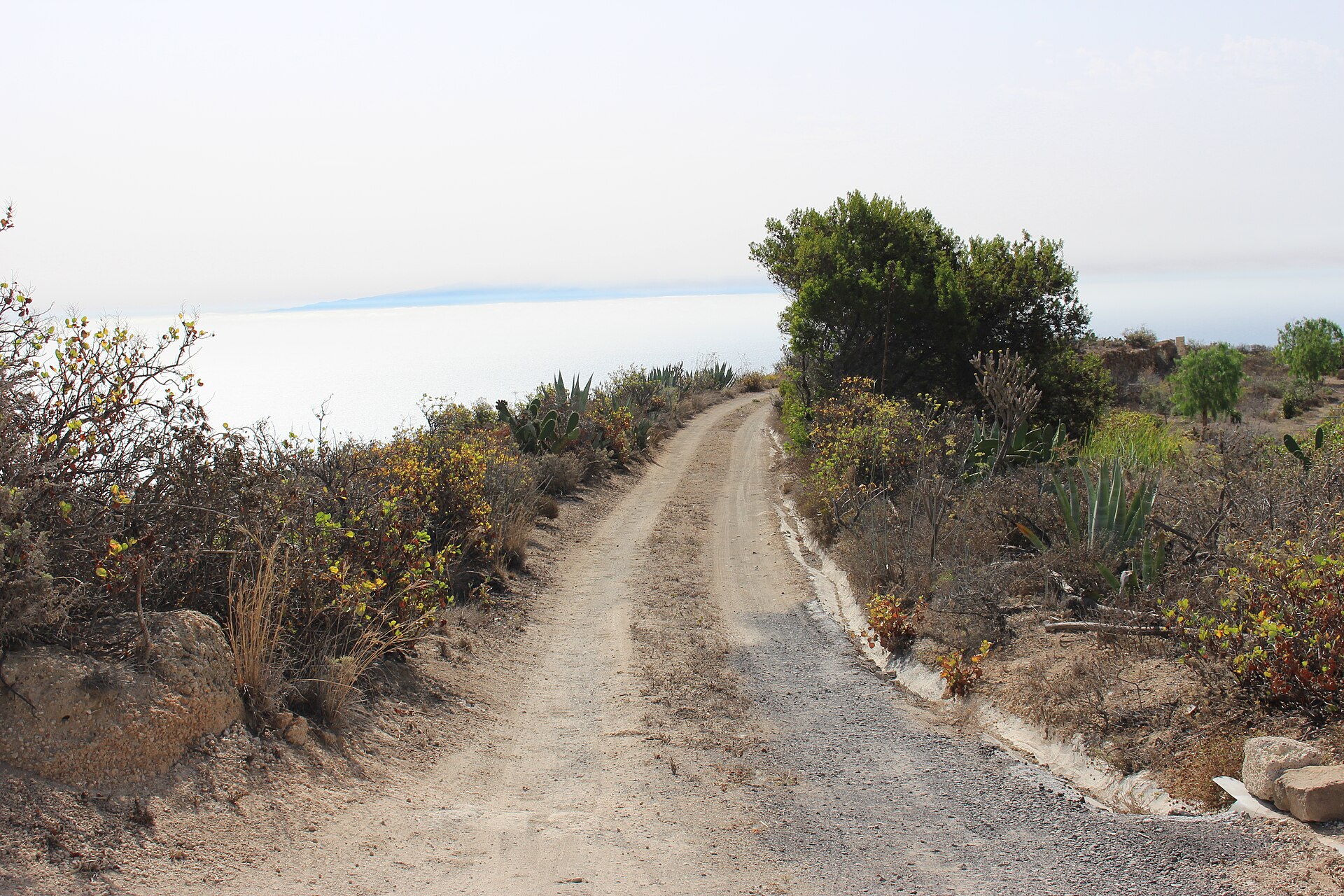 Monthly Car Hire in the Canary Islands: Cheapest Options