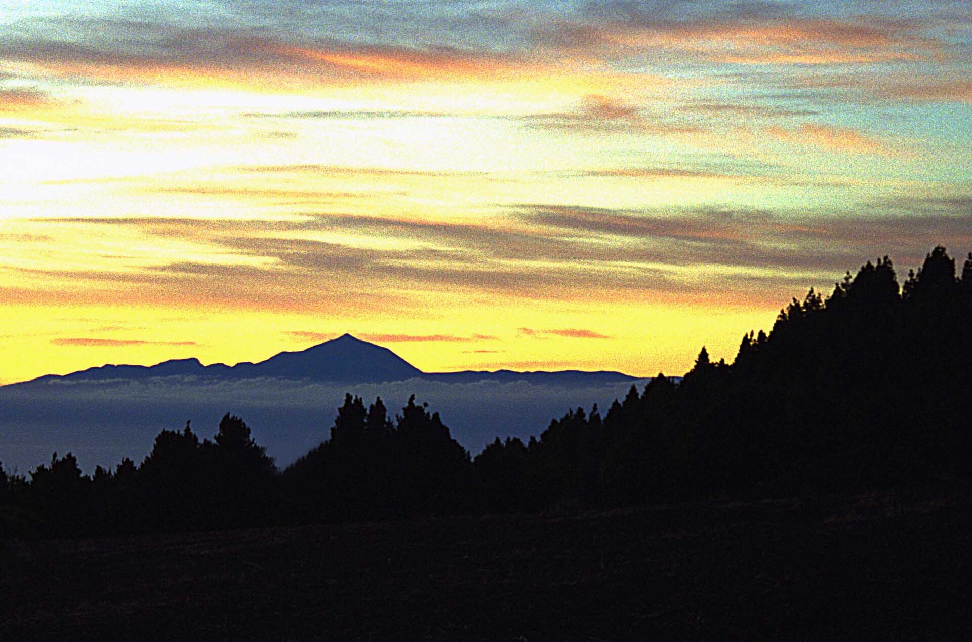 Tenerife vs Gran Canaria for a Winter Stay: Weather, Cost and Lifestyle
