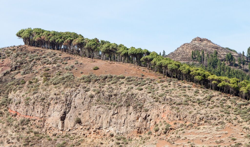 Mountain landscape at Degollada de la Cumbre, Gran Canaria