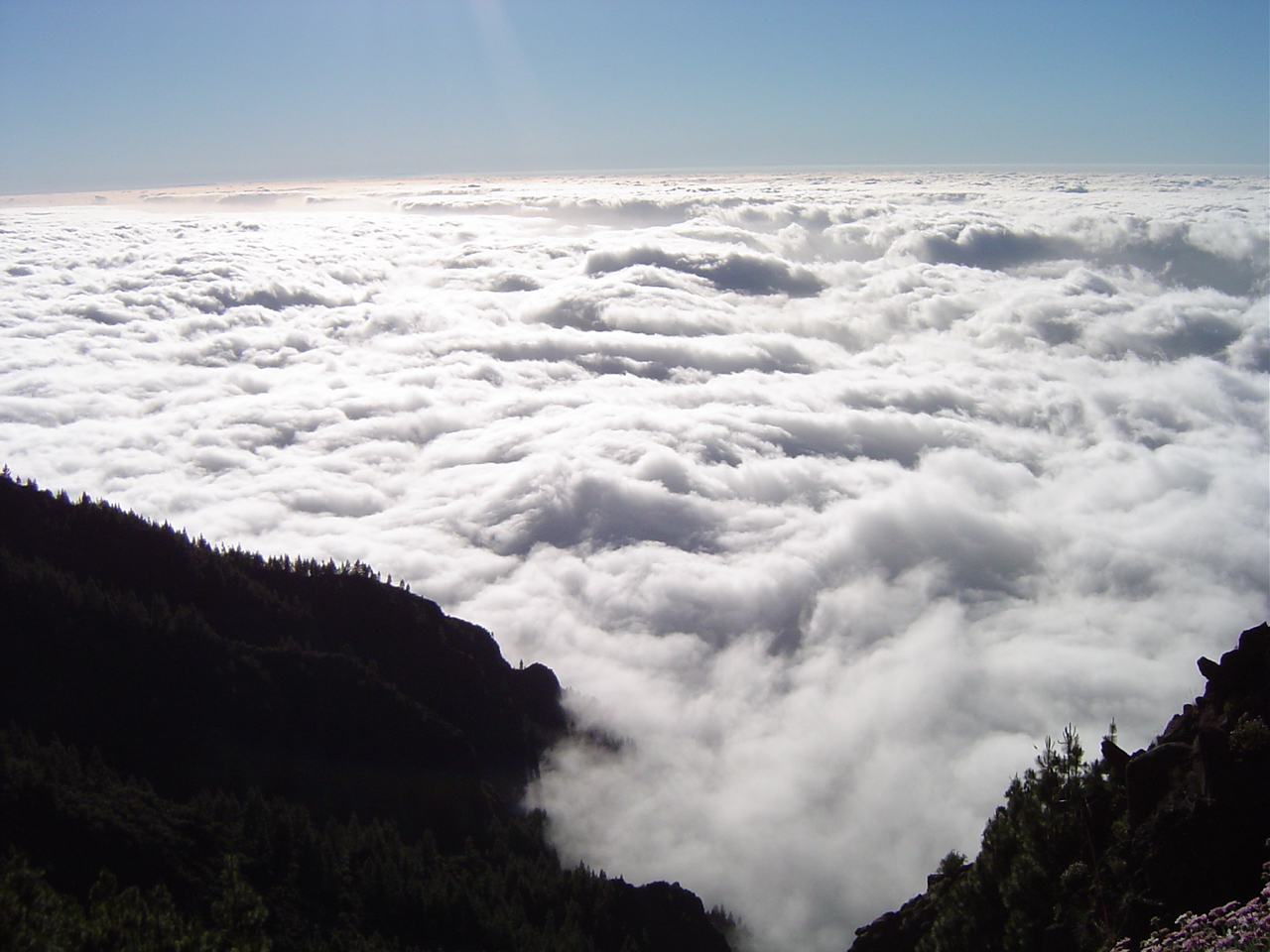 Microclimates in Tenerife Explained for Long-Stay Visitors