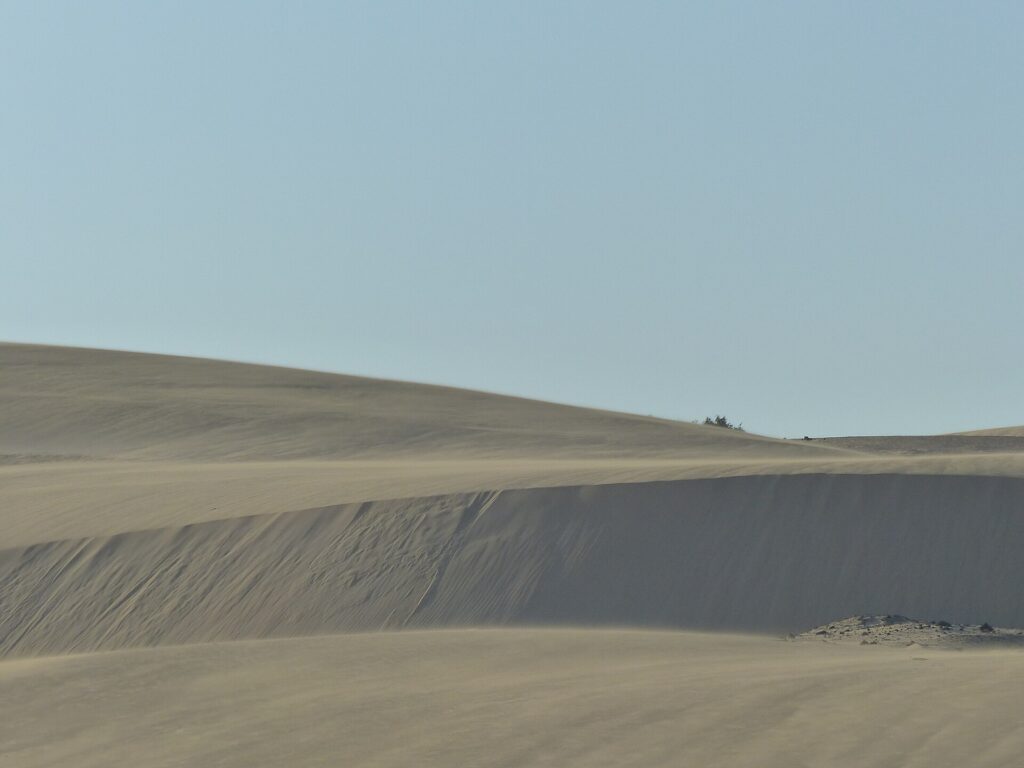 The dunes of Corralejo Natural Park, Fuerteventura