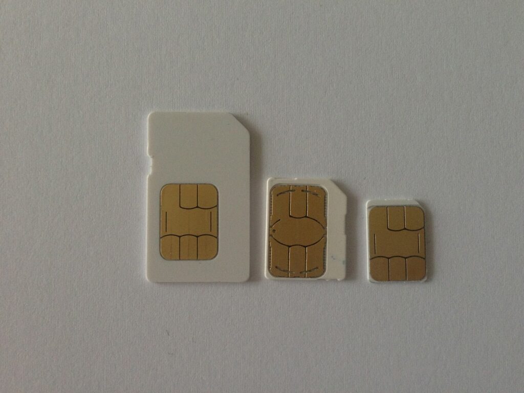 SIM cards in different formats