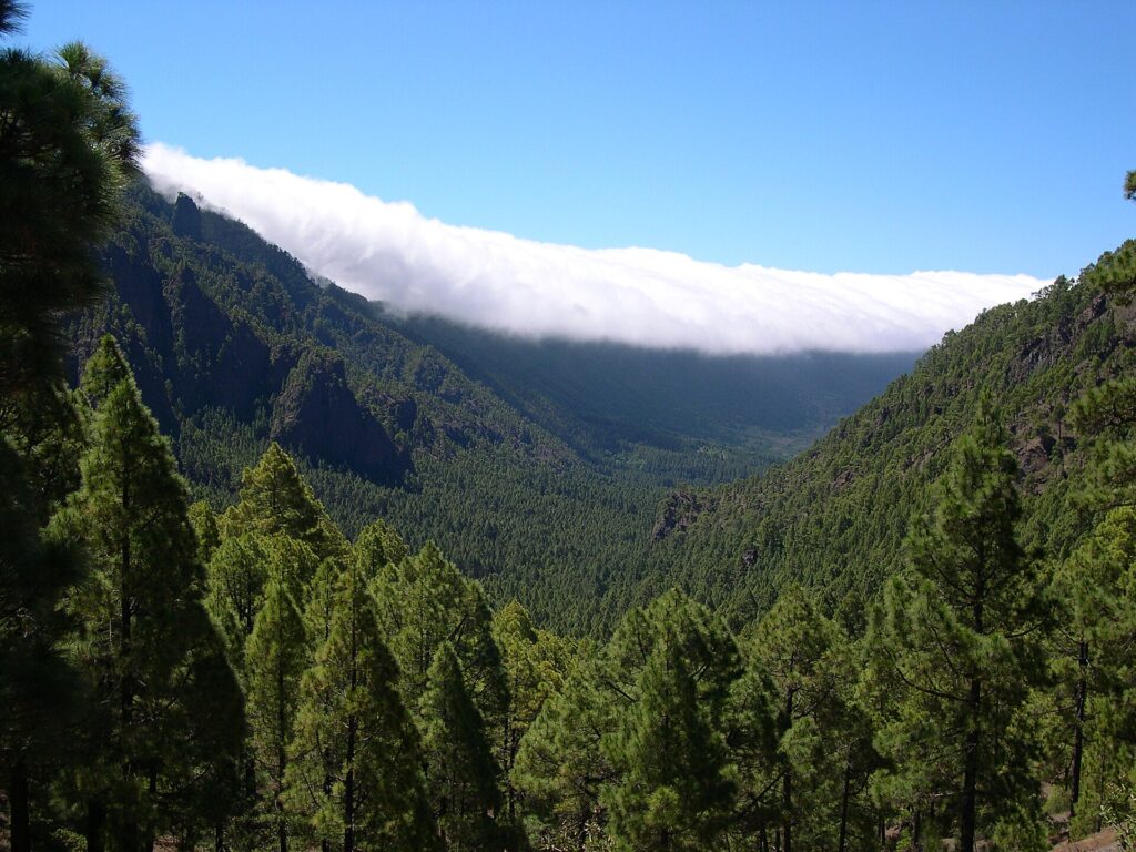 The Caldera de Taburiente national park on La Palma